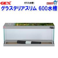 (アクアリウム　用品)GEX　グラステリア　スリム600水槽　 | 熱帯魚通販のネオス