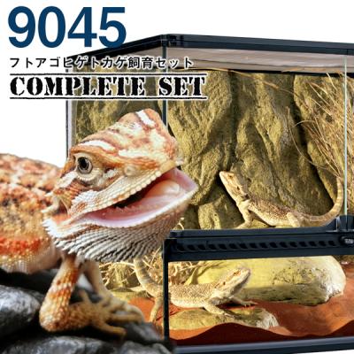 フトアゴ飼育セット フトアゴヒゲトカゲ飼育セット（GEX／飼育ケージ）｜温室、飼育