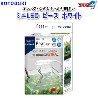 コトブキ 水槽 45cm（ライト、照明器具（水槽、アクアリウム用品 