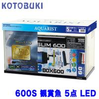 (アクアリウム 用品)コトブキ　600S　観賞魚　5点　LED　W　600　×　D　295　×　H　360　水槽セット/飼育セット | 熱帯魚通販のネオス