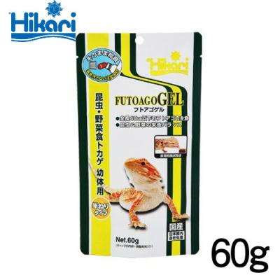 60cm水槽セット（爬虫類、両生類用品） | ペット用品、生き物 の