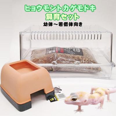 ヒョウモントカゲモドキ 飼育セット（ペット用品、生き物）のおすすめ