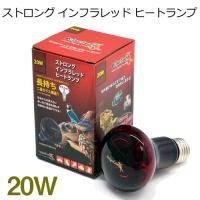 (アクアリウム 用品)ゼンスイ　ストロング インフラレッド ヒートランプ　20W　取寄商品 | 熱帯魚通販のネオス