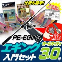 エギング入門セット ロッド ダイワリールpeライン付き エギ2 5号5本 エギケース スナップ リーダー６点セット フィッシングトライ 通販 Yahoo ショッピング