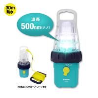 ハピソン 乾電池式LED水中集魚灯 YF-500 (集魚灯 水中ライト) | フィッシング遊web店