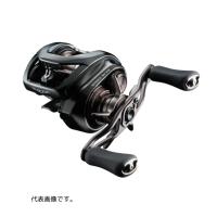 ダイワ 24 スティーズ SV TW 100XHL | フィッシングマックス