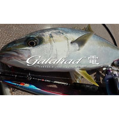 電動ジギング ロッド(YAMAGA Blanks)の商品一覧 通販 - Yahoo 電動ジギング ロッド(YAMAGA Blanks)の商品一覧 通販 - Yahoo