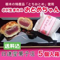 日進堂菓子店　小川生まれのおとめちゃん ５個入箱　[栃木県産品　那珂川町] 