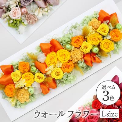 フランフランウォールフラワーのおすすめ人気商品一覧 通販 - Yahoo