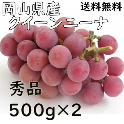 クイーンニーナ（食品）のおすすめ人気商品一覧 通販 - Yahoo