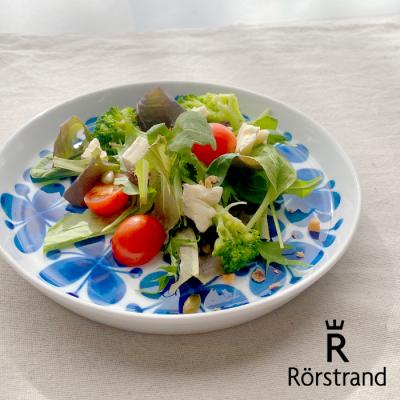 2枚セット】美品！ヴィンテージ ローストランド モナミ 17cm