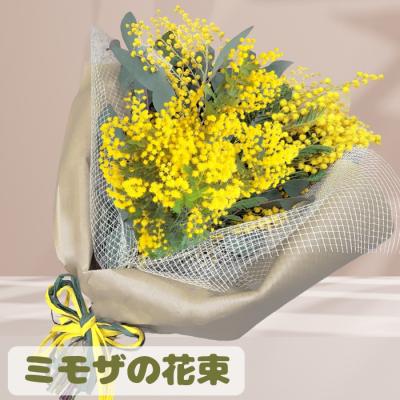 ミモザ（生花） | 花、ガーデニング のおすすめ人気商品一覧 通販