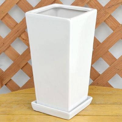 陶器鉢 白の商品一覧 通販 - Yahoo!ショッピング