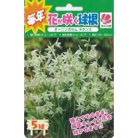 球根苗 花苗 芽出し球根 オキザリス アイアンクロス 1鉢 3球植 3 3 5号 お届け中 芽出し球根ポット植え苗 Sbu Atn17oxalis1q Happygarden 通販 Yahoo ショッピング