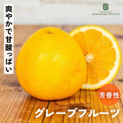 グレープフルーツ苗木の商品一覧 通販 - Yahoo!ショッピング