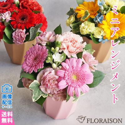 花&雑貨 ギフト フロレゾン - 春のフラワーギフト｜Yahoo!ショッピング