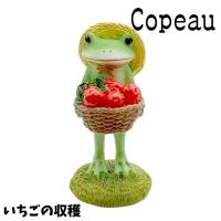 Copeau コポー いちごの収穫 | LUNACOCO