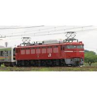 Nゲージ EF81形 JR東日本仕様・双頭形連結器付 鉄道模型 電気機関車 TOMIX TOMYTEC トミーテック 7173 | フライングスクワッド