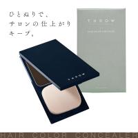 ★送料無料★ ビーエックス スロウ コンシーラー ブラウン 11g レギュラー  美容室専売 美容院 サロン専売品 ヘアファンデーション 白髪 消しゴム 白髪 部分染め | コク彩ヘルスケア