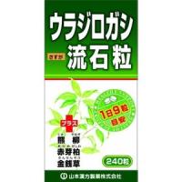 山本漢方製薬　ウラジロガシ流石粒　240粒(配送区分:A) | フォーモスト