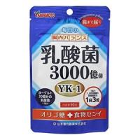 山本漢方製薬　乳酸菌粒　90粒(配送区分:A) | フォーモスト