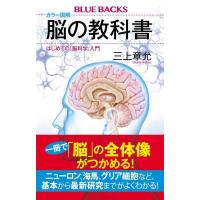 カラー図解 脳の教科書 はじめての「脳科学」入門 (ブルーバックス) | FREE-Store
