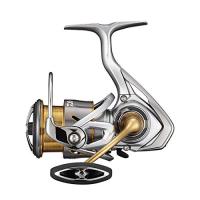 ダイワ(DAIWA) 21 フリームス LT2500 | FREE-Store