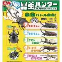 予約 エフトイズ 昆虫ハンター 2024 1BOX 10個入 24年06月 | ブーストギア ヤフー店