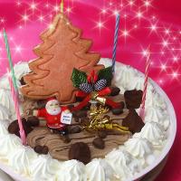 クリスマスケーキ 2019★Xmas★デコレーションアイスケーキ 