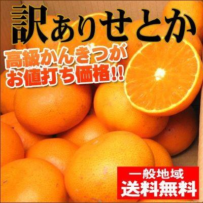 せとかみかんのおすすめ人気商品一覧 通販 - Yahoo!ショッピング