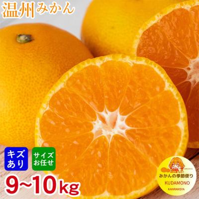 温州みかんのおすすめ人気商品一覧 通販 - Yahoo!ショッピング