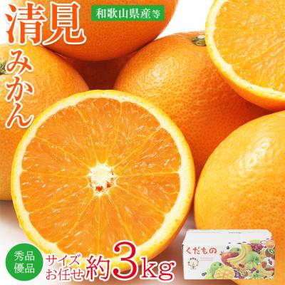 せとか 訳ありのおすすめ人気商品一覧 通販 - Yahoo!ショッピング
