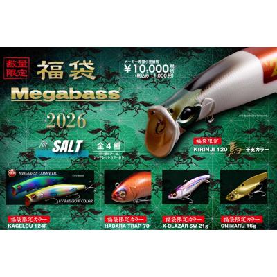 シーバス福袋（釣り） | アウトドア、釣り、旅行用品 のおすすめ人気