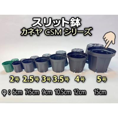 兼弥産業　スリット鉢　13号　8鉢 楽天市場】兼弥 スリット鉢 8号の通販