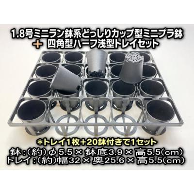1.8号 プラ鉢 商品一覧 - フラワーショップ江口Yahoo!店 - 売れ筋通販