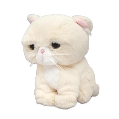 エキゾチックショートヘア　ぬいぐるみ♡ エキゾチックショートヘアぬいぐるみのおすすめ人気商品一覧