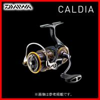 ダイワ 　21 カルディア 　LT2500 　（ 2021年 3月新製品 ） | 釣具・フーガショップ1
