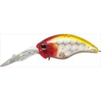 春爛漫sale | エバーグリーン ワイルドハンチ8フッター #66 フラッシュクラウン | FishingHouse一竿風月 本店