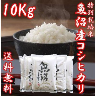 12kg　お米　新潟　コシヒカリ　特別栽培米　5kg　10kg　2kg 12kg お米 新潟 コシヒカリ 特別栽培米 5kg 10kg 2kg