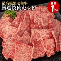 焼肉 食べ比べ 最高級 黒毛和牛 店長厳選 おまかせ焼肉セット 1kg 5種類入り バーベキュー 肉 セット 福袋 BBQ ポイント利用 食品 爆買