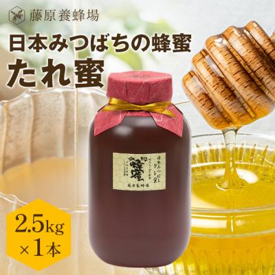 日本ミツバチ・純粋天然蜂蜜600g2本 1000g1本 日本ミツバチ・純粋天然