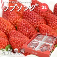 いちご イチゴ 苺 果物 ギフト 旬 フルーツ ラブソング 2Lサイズ×4パック 
