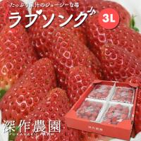 いちご イチゴ 苺 果物 ギフト 旬 フルーツ ラブソング プレミアムパック 3Lサイズ×4パック 