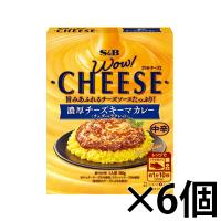 エスビー食品　WOW!CHEESE　濃厚チーズキーマカレー　中辛 150g×6個 | ドラッグフォーユーネットショップ