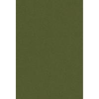 ササガワ　タカ印　16-3056　クリエイティブカード はがきサイズ オリーブ　20枚 | FUKUHIRADO