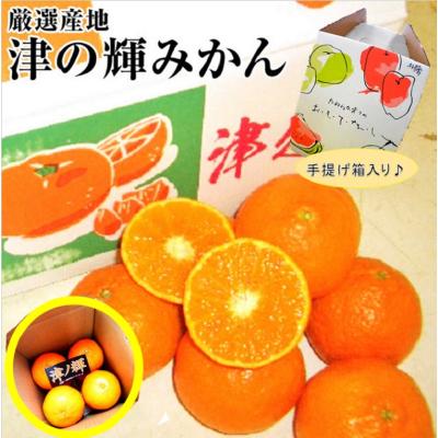 津之輝のおすすめ人気ランキングTOP100 - Yahoo!ショッピング