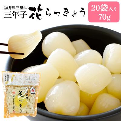 ラッキョウのおすすめ人気ランキングTOP100 - Yahoo!ショッピング