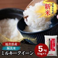 無洗米 ミルキークイーン 5kg 福井県産 白米 令和5年産 送料無料