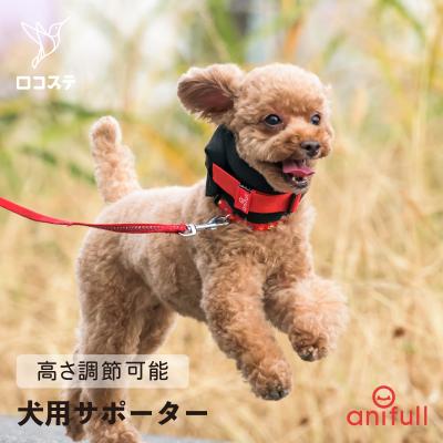 犬用首コルセットのおすすめ人気商品一覧 通販 - Yahoo!ショッピング