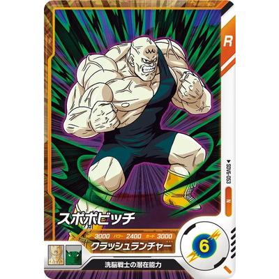 スポポビッチ 專用 公道走行可能なニンジャZX-Rシリーズ用アクラポビッチS/Oが登場